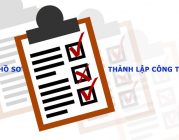 Dịch vụ thành lập công ty TNHH 1 thành viên tại Bình Định