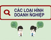 Lựa chọn loại hình doanh nghiệp phù hợp tại An Lão