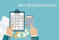 Hộ kinh doanh tại An Nhơn có mã số thuế không?