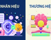 Thương hiệu và nhãn hiệu có khác nhau không?